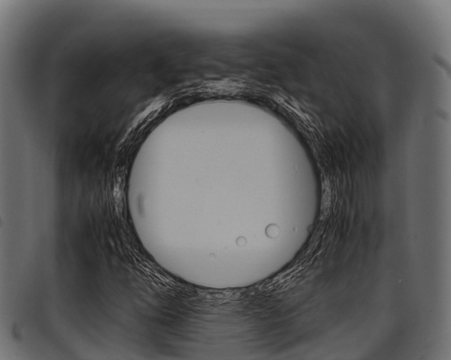 X0000098021254200803280746