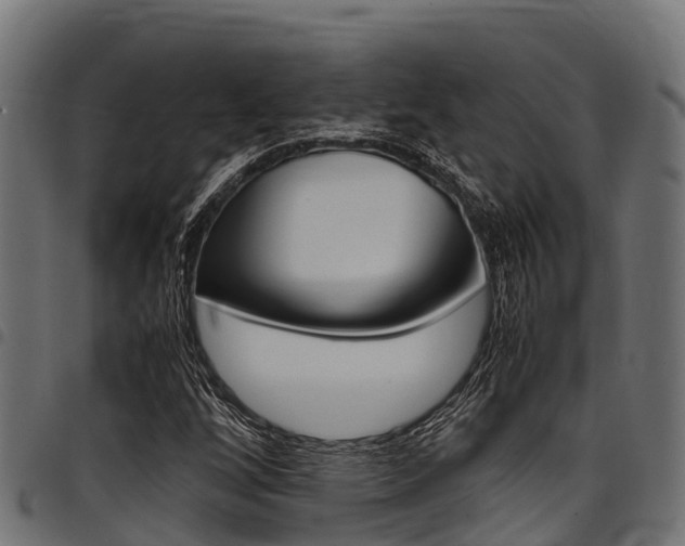 X0000098021256200803280745