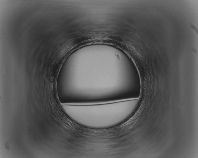 X0000098021257200803280745