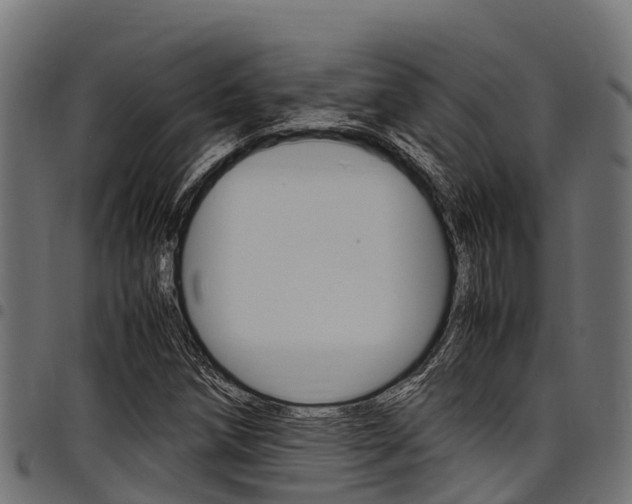 X0000098021258200803280745
