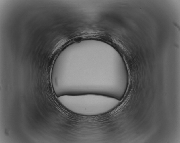 X0000098021259200803280745