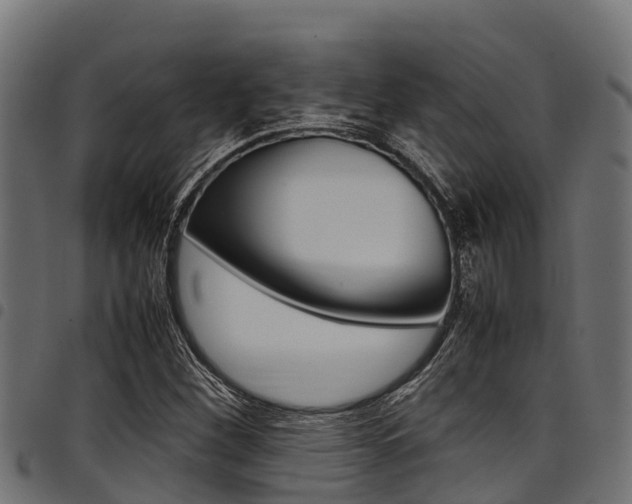 X0000098021260200803280745