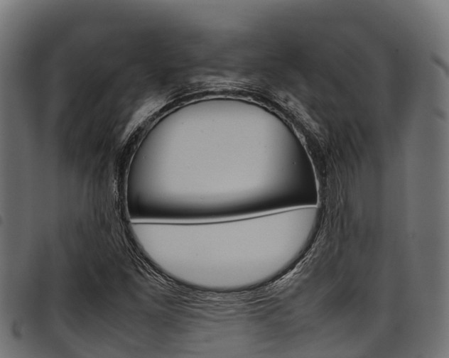 X0000098021261200803280745