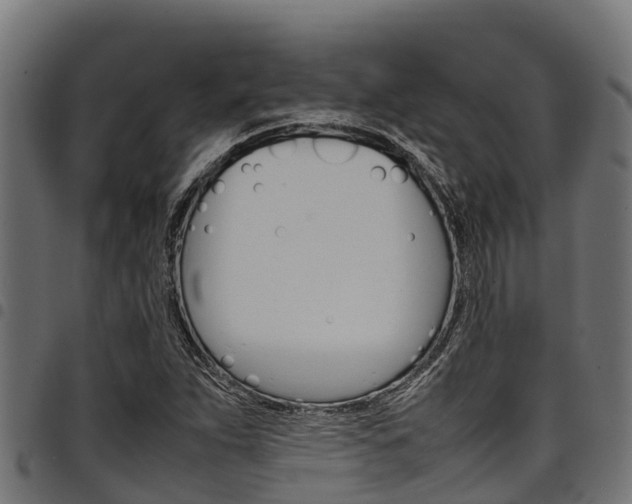 X0000098021263200803280745
