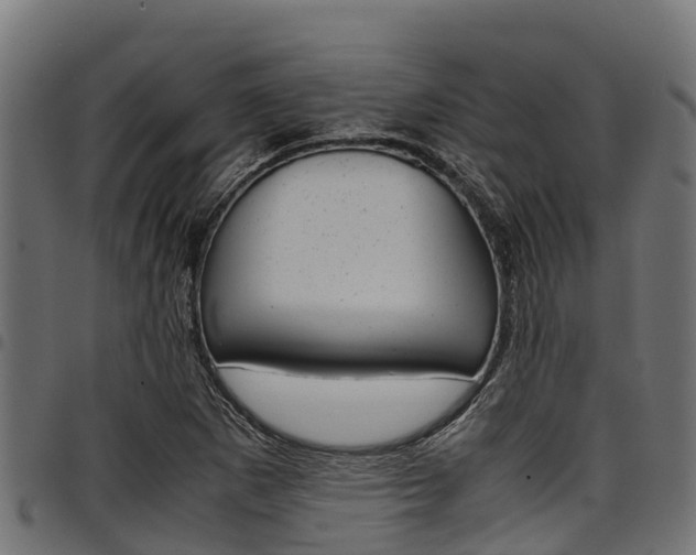 X0000098021265200803280745