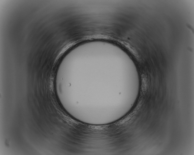 X0000098021266200803280745
