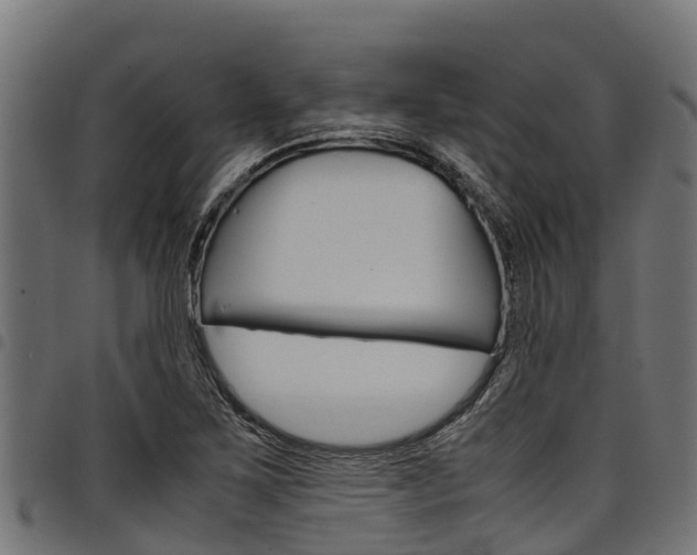 X0000098021267200803280745