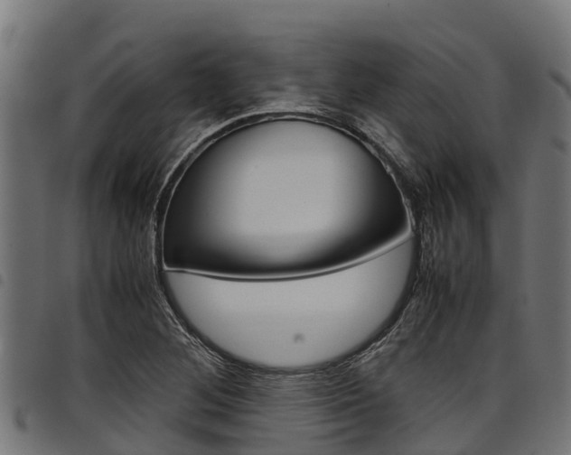 X0000098021268200803280745