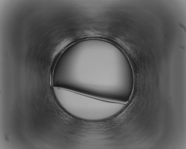 X0000098021269200803280745