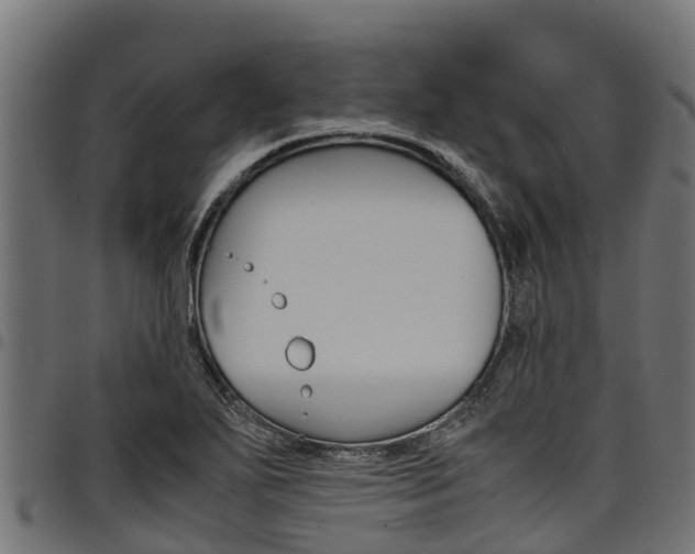 X0000098021271200803280745