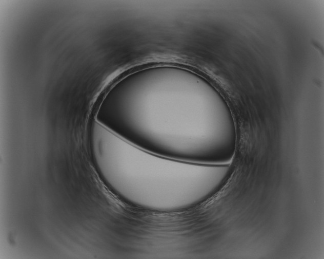 X0000098021272200803280745