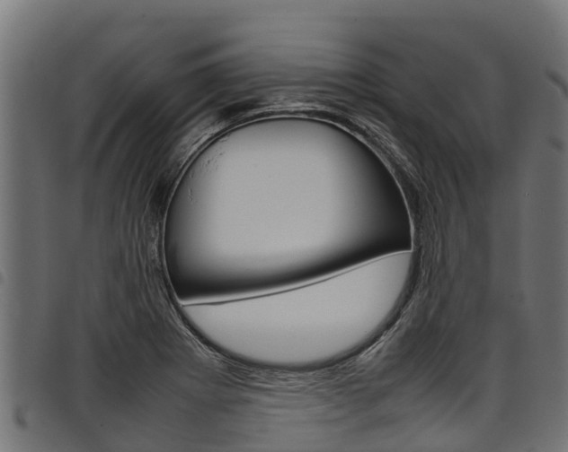 X0000098021273200803280745