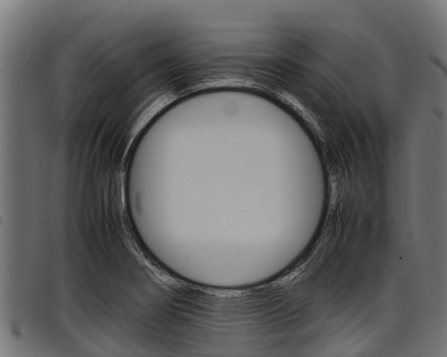 X0000098021274200803280745