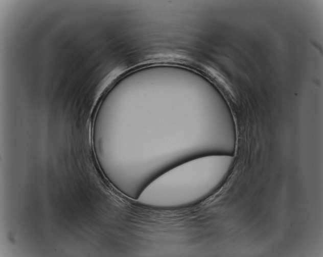 X0000098021275200803280745