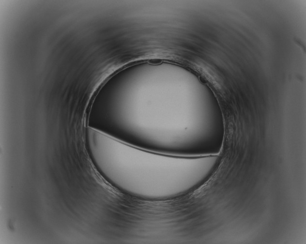X0000098021276200803280745