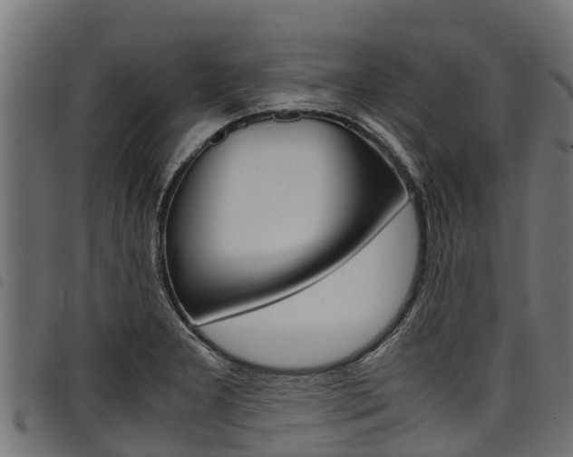 X0000098021277200803280745