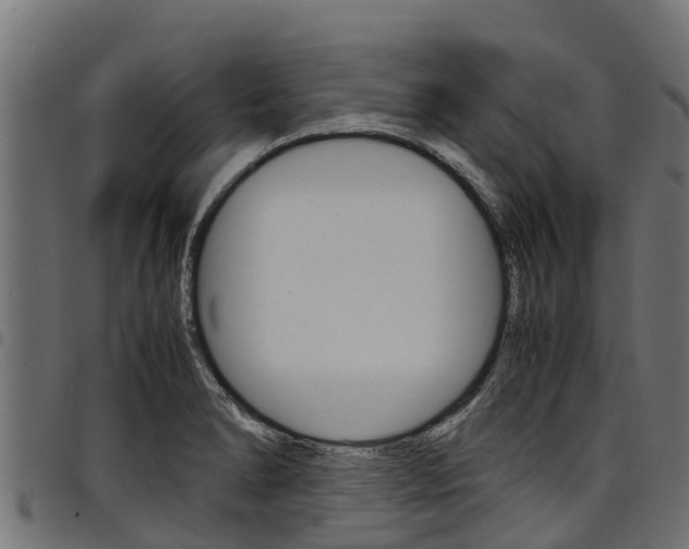 X0000098021278200803280745