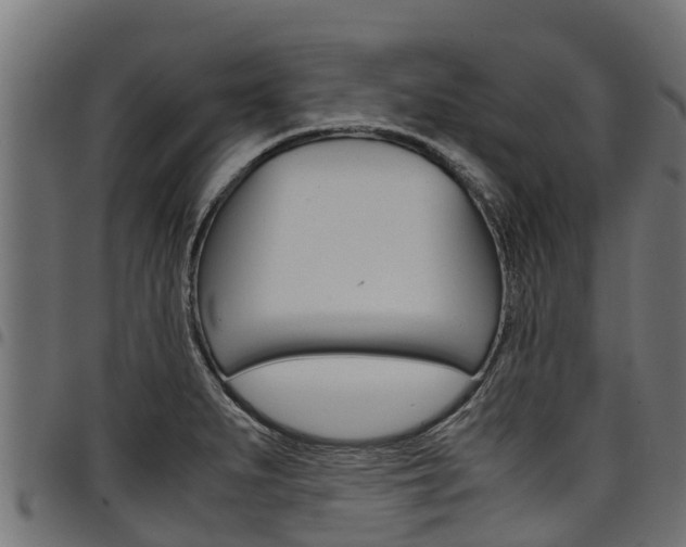 X0000098021279200803280745