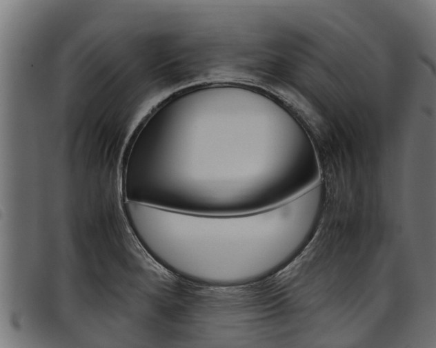 X0000098021280200803280745