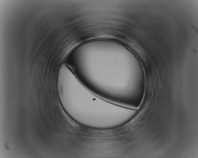 X0000098021281200803280745