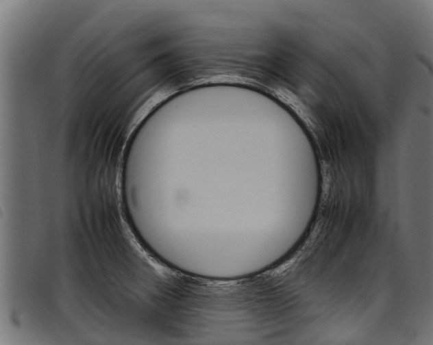 X0000098021282200803280745