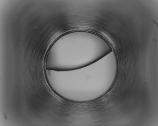 X0000098021283200803280745