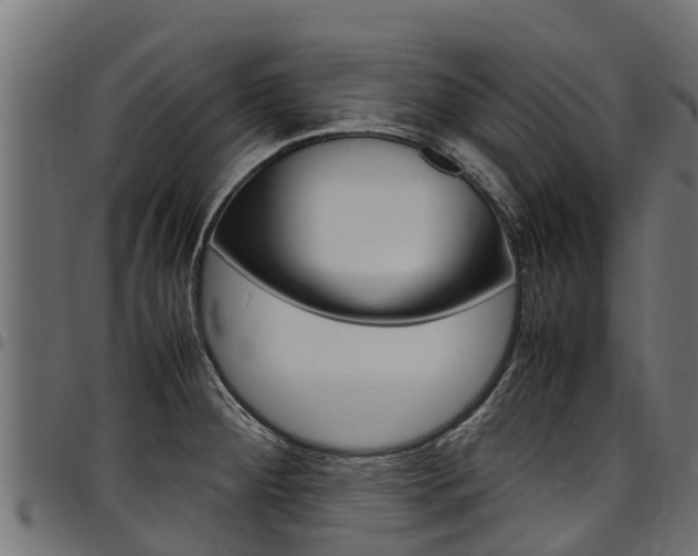 X0000098021284200803280745