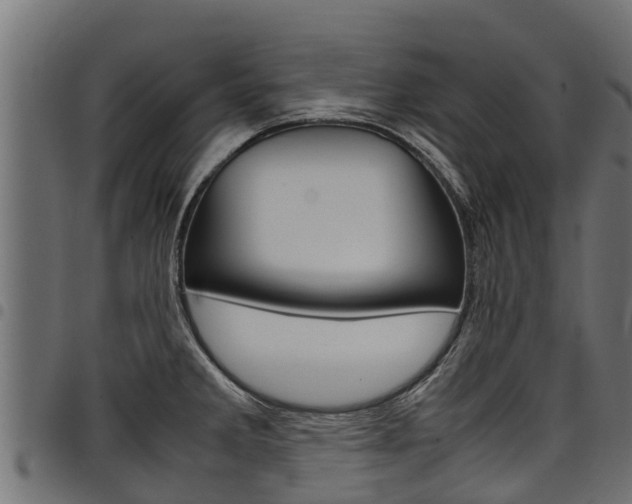 X0000098021285200803280745