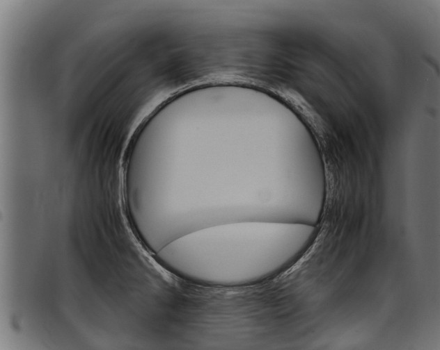 X0000098021286200803280745