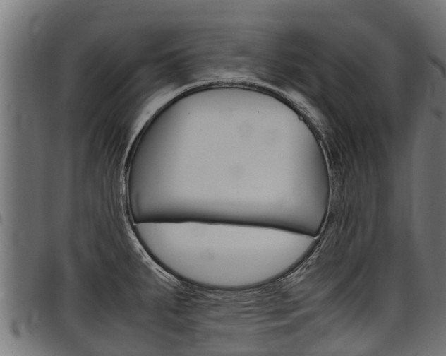X0000098021287200803280745