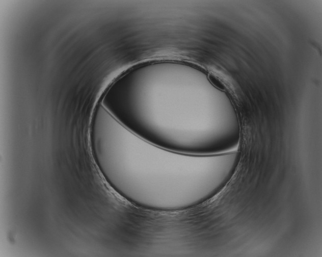 X0000098021288200803280745
