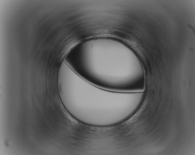 X0000098021289200803280745