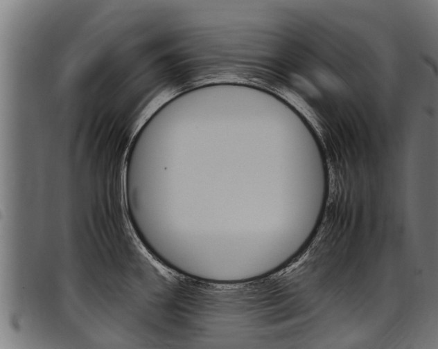 X0000098021290200803280745