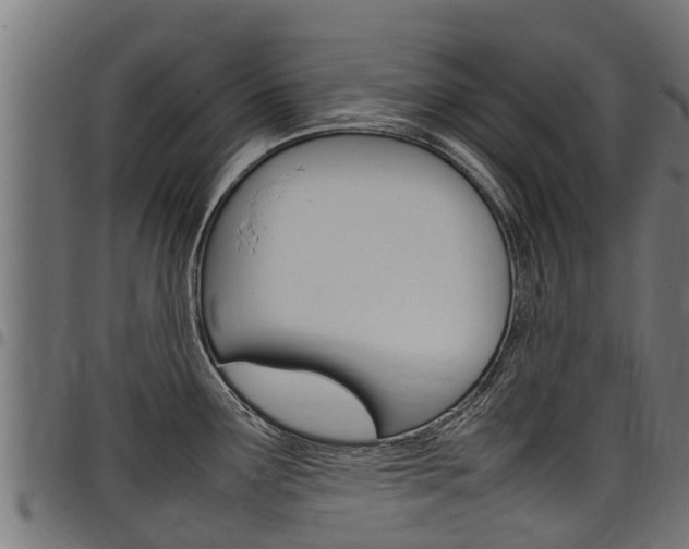 X0000098021291200803280745