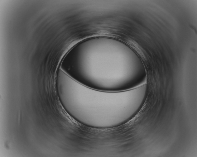 X0000098021292200803280745