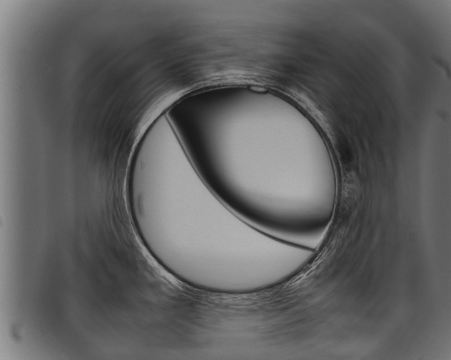 X0000098021293200803280745