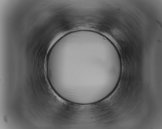 X0000098021294200803280745