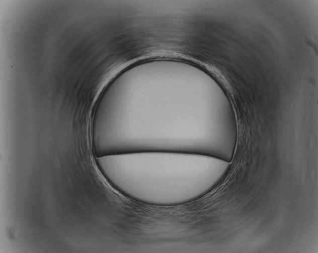 X0000098021295200803280745