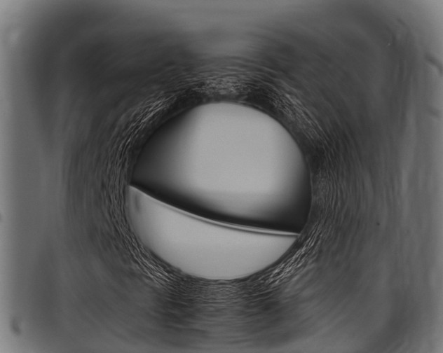 X0000098021297200803280744