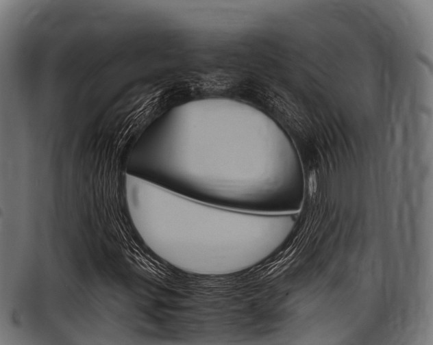X0000098021299200803280744