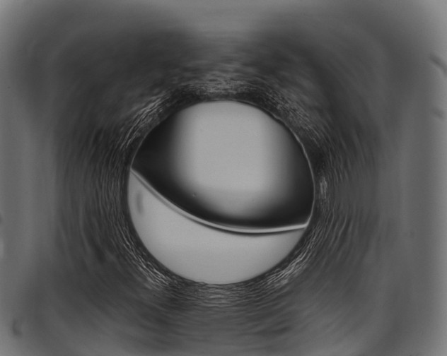 X0000098021300200803280744