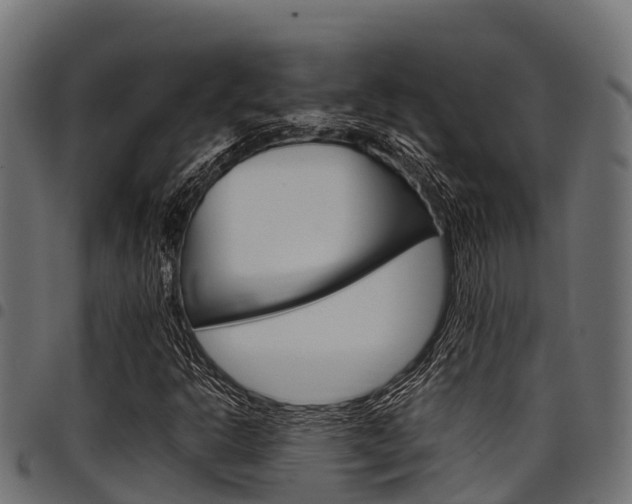 X0000098021302200803280744