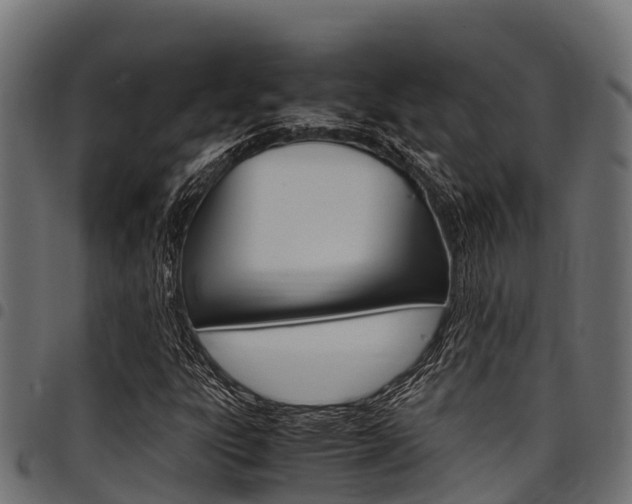 X0000098021303200803280744