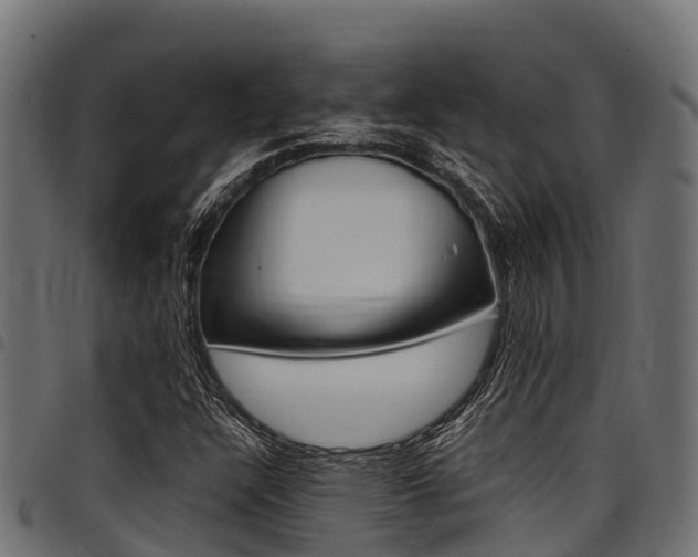 X0000098021304200803280744