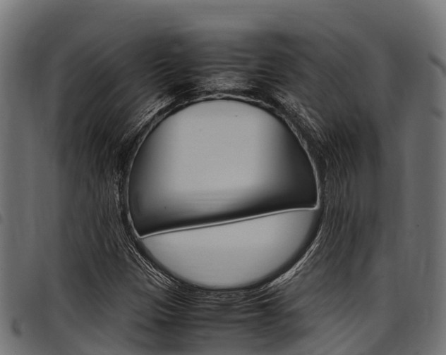 X0000098021305200803280744