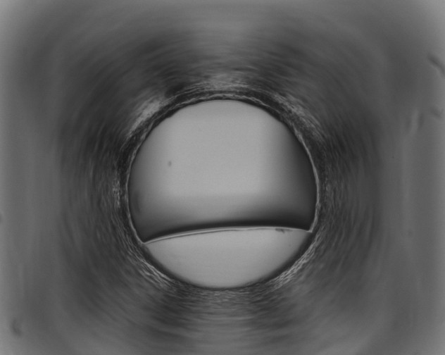 X0000098021306200803280744
