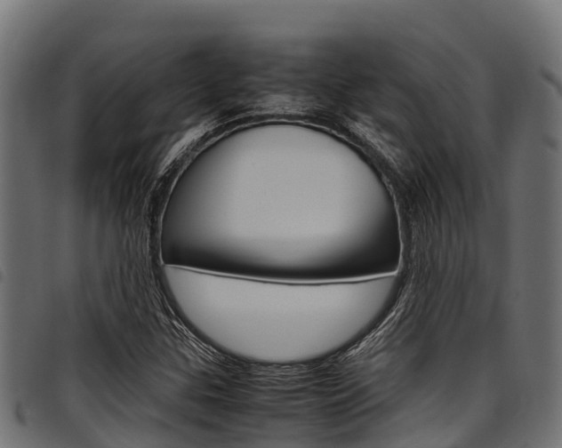 X0000098021307200803280744