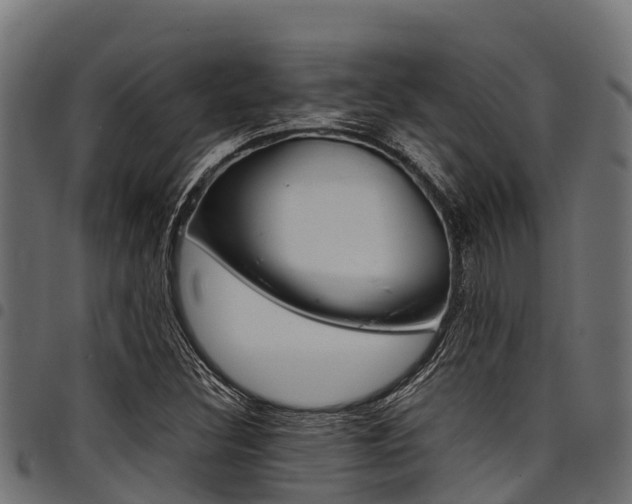 X0000098021308200803280744
