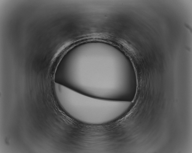 X0000098021310200803280744