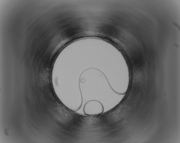 X0000098021314200803280744